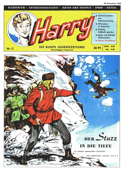 Cover of Der Sturz in die Tiefe