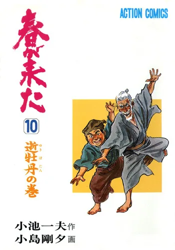 Cover of Volume #10