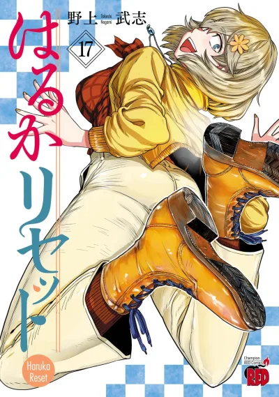 Cover of Vol. 17