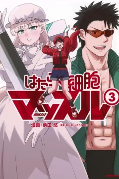 Vol. 3