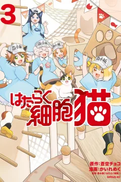 Vol. 3