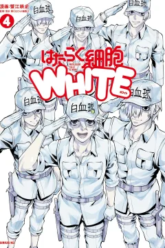 Volume 4