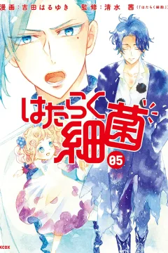 Vol. 5