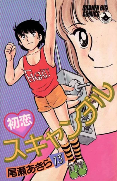 Cover of Vol. 13