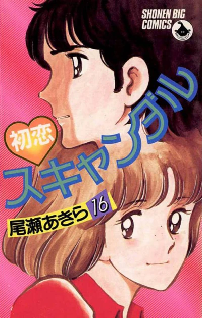 Cover of Vol. 16