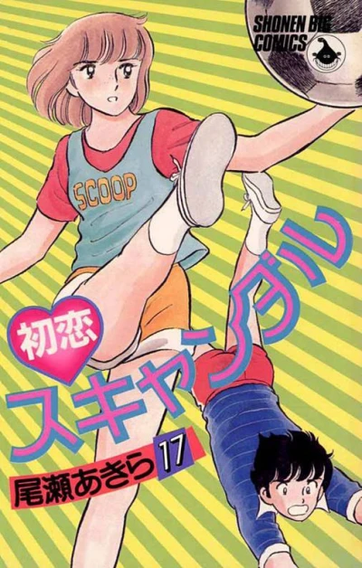 Cover of Vol. 17