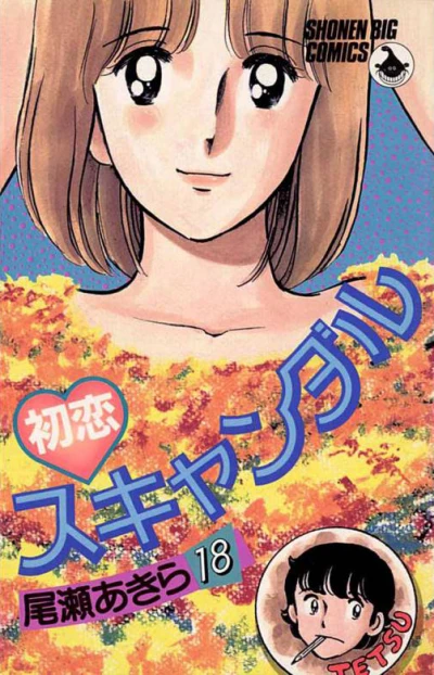 Cover of Vol. 18