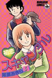 Vol. 3