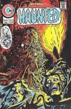 Cover of Issue #20