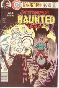 Cover of Issue #30