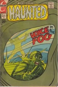 Voice In The Fog