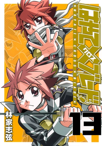 Cover of Vol. 13
