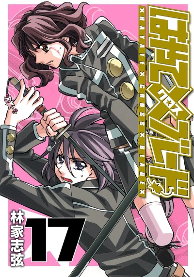 Cover of Vol. 17
