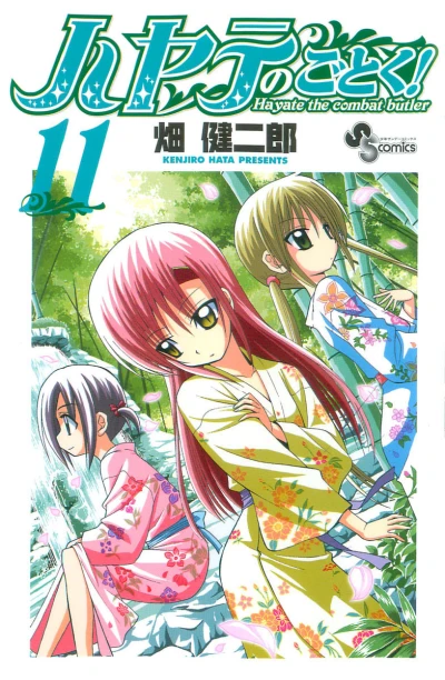 Cover of Vol. 11