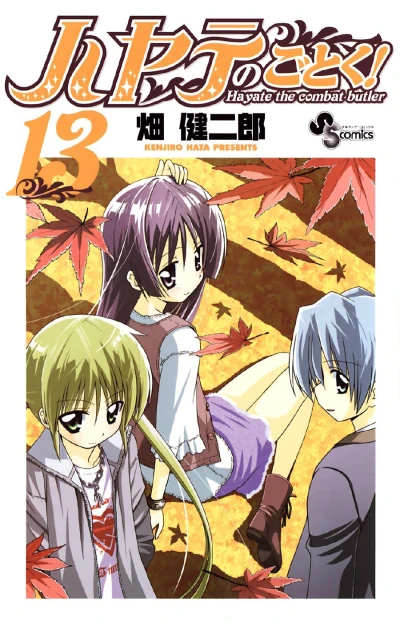 Cover of Vol. 13
