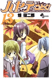 Vol. 13
