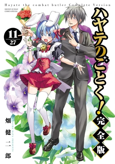 Cover of Vol. 11