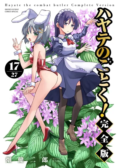 Cover of Vol. 17