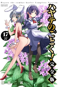 Vol. 17