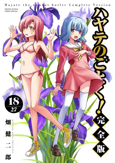 Cover of Vol. 18