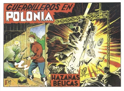 Cover of Guerrilleros en Polonia