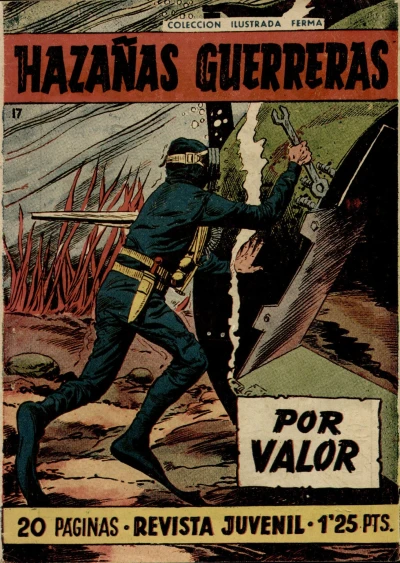 Cover of Issue #17