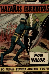 Issue #17