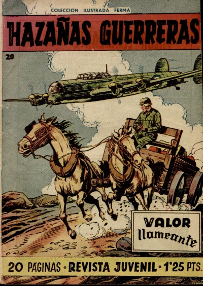 Cover of Issue #20