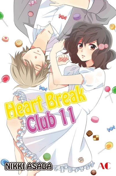 Cover of Vol. 11