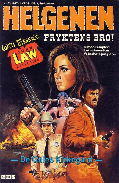 Cover of Fryktens bro