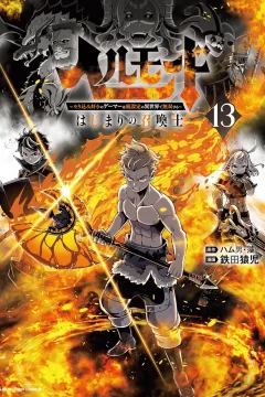 Vol. 13
