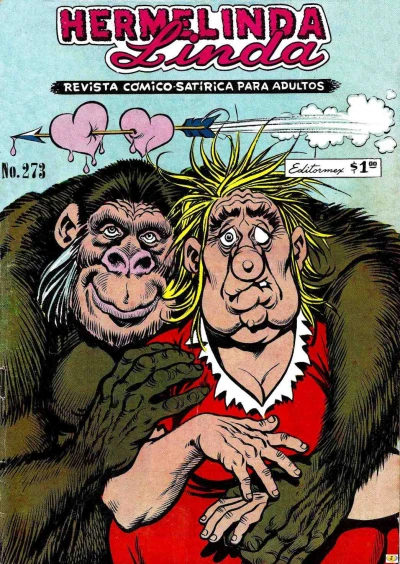 Cover of Issue #273