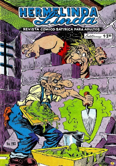 Cover of Issue #293