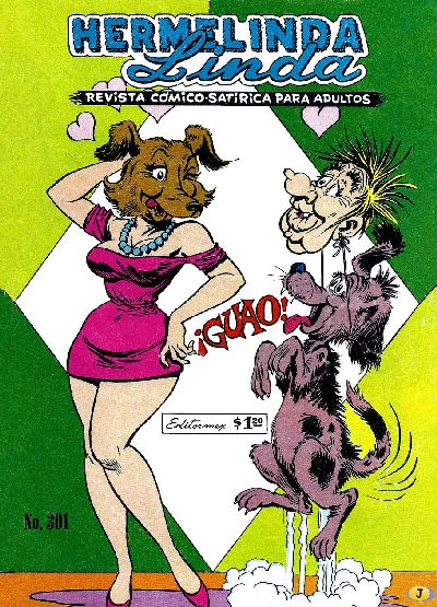 Cover of Issue #301