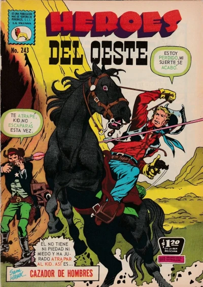 Cover of Issue #243