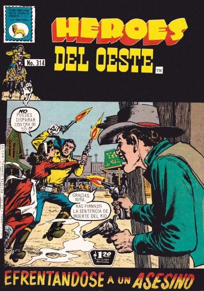 Cover of Issue #314