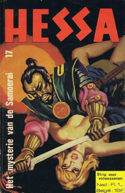 Cover of Issue #17
