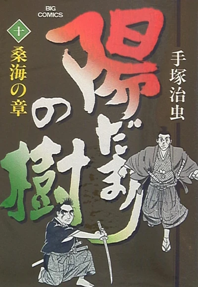 Cover of Vol. 10