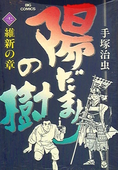 Cover of Vol. 11