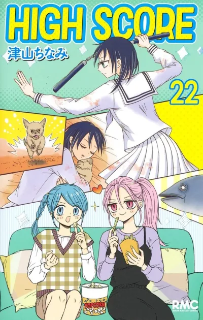 Cover of Vol. 22