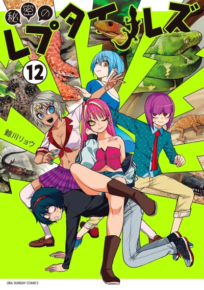 Cover of Vol. 12