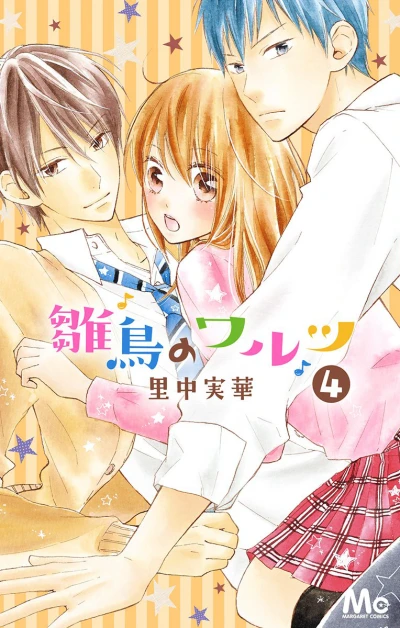 Cover of Vol. 4