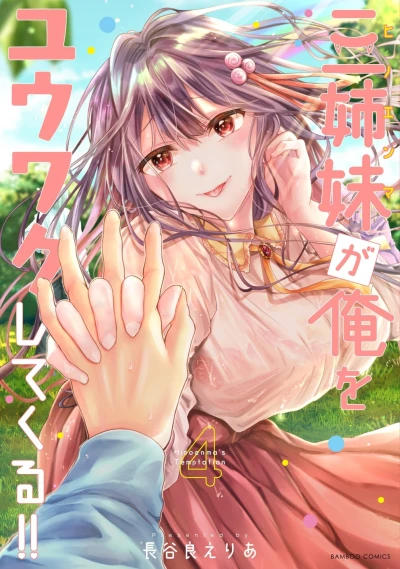Cover of Vol. 4