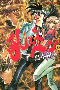 Vol. 13