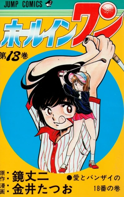 Cover of Vol. 13