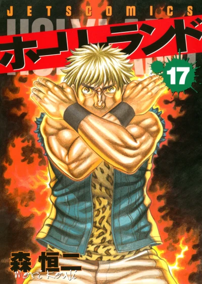 Cover of Vol. 17