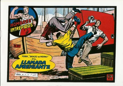 Cover of Issue #29