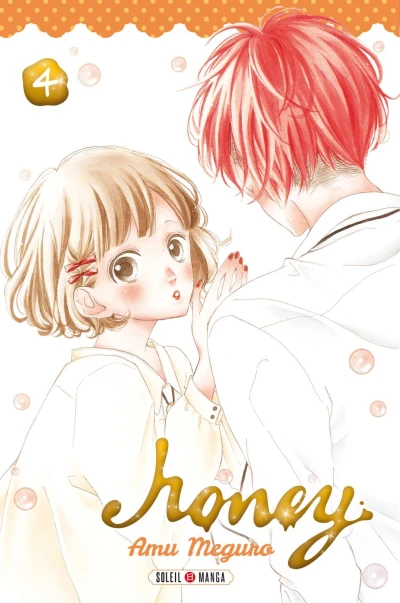 Cover of Tome 4