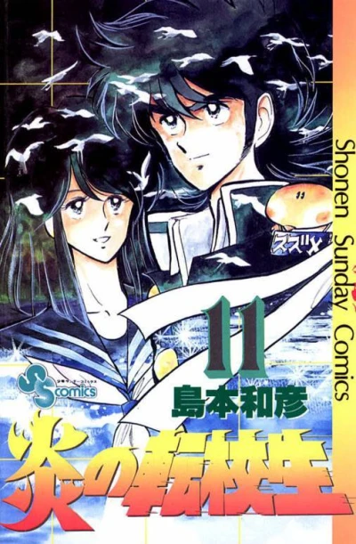 Cover of Volume 11
