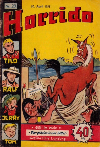 Cover of Issue #29